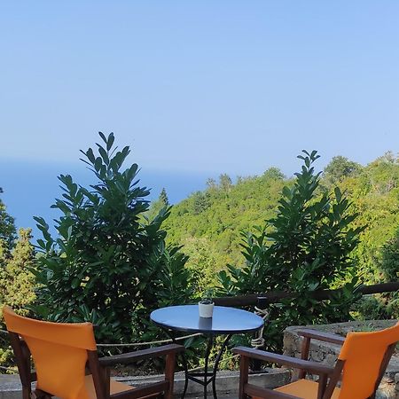 Ferienwohnung Kastania Gi Palaios Panteleimonas Exterior foto